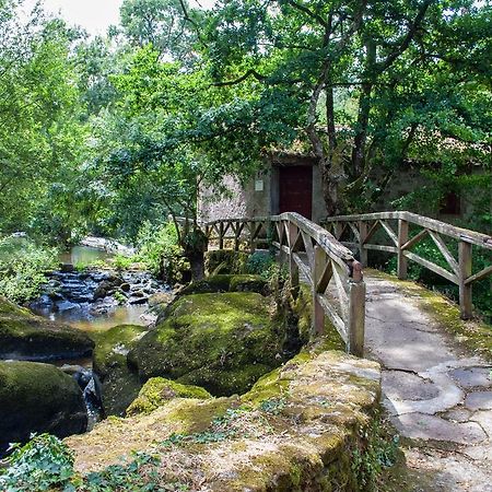 Village De Gites Du Moulin Neuf Getigne Exteriör bild