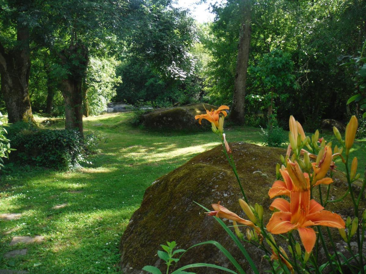 Village De Gites Du Moulin Neuf Getigne Exteriör bild